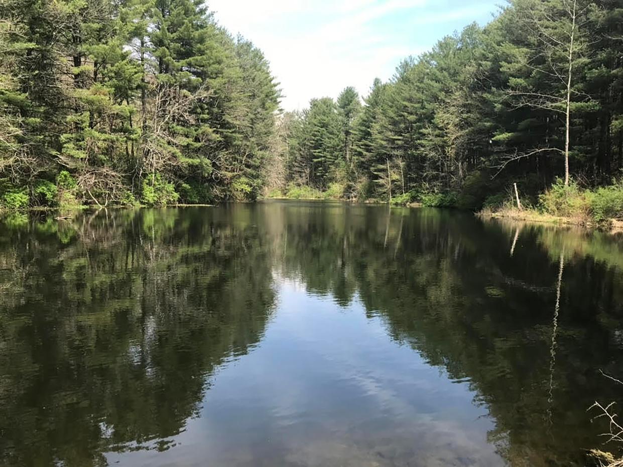 The lake that is situated next to The Black Diamond Tiny Home Village, which is surrounded by Wayne National Forest. 15 lots will be ready in May for tiny homeowners, who have already rented those lots. There is a waiting list for the additional 45 lots, which will be completed later. This village is only the second permanent such community in Ohio.