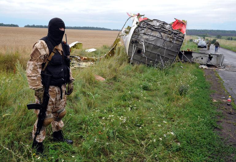 A pro-Russia militant stands guard at the crash site of the Malaysia Airlines flight MH17 in Grabove. - AFP pic