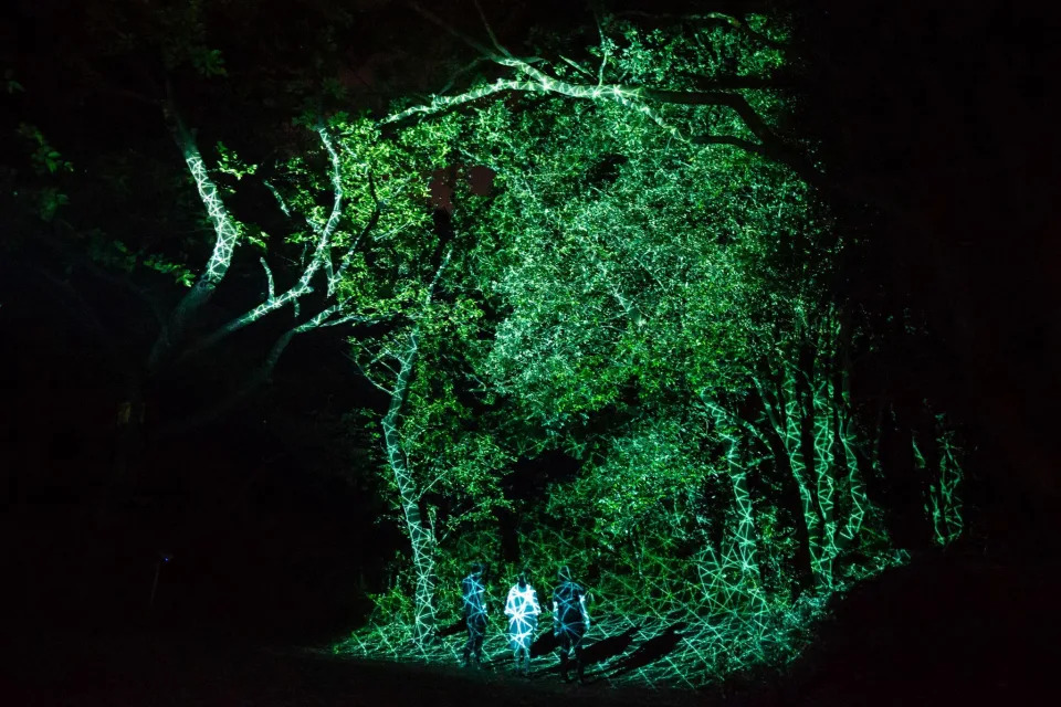 TeamLab Botanical Garden Osaka