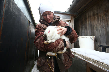 Nina Skidan, wife of a hunter Vladimir Krivenchik, holds a rabbit at her house in the village of Khrapkovo, Belarus February 1, 2017. REUTERS/Vasily Fedosenko