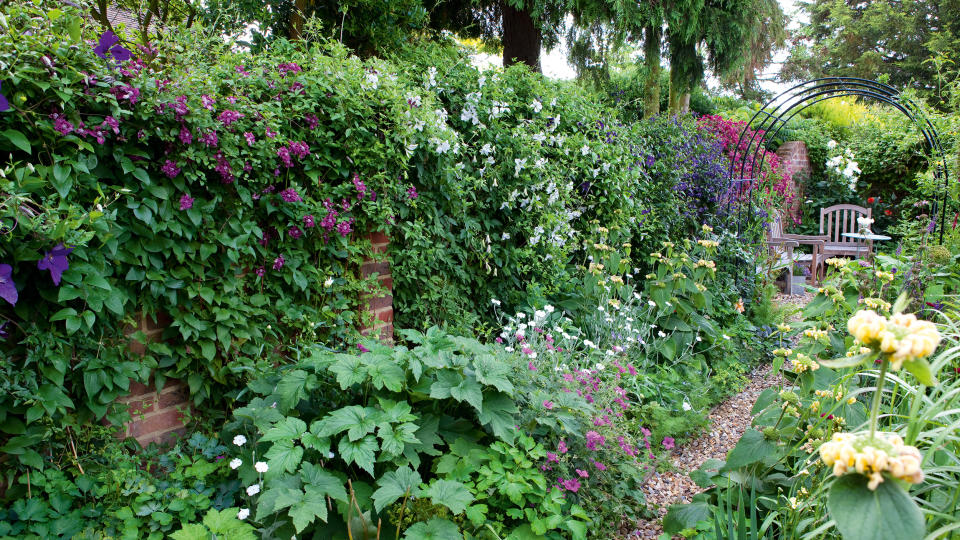 <p> Choose hardy climbers like ivy, passionflower, and jasmine for quick growth up and over an unsightly wall.&#xA0; </p>