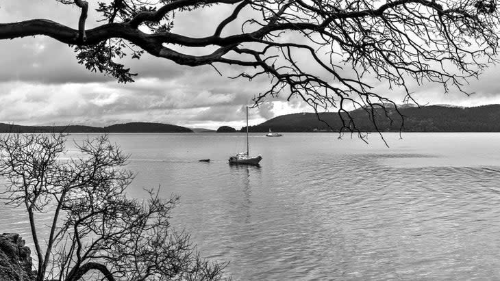 The Swirl near Lopez Island, Washington