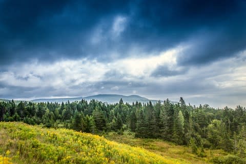 Fundy National Park - Credit: Getty