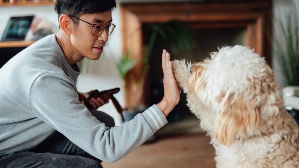 Man giving his dog a high five