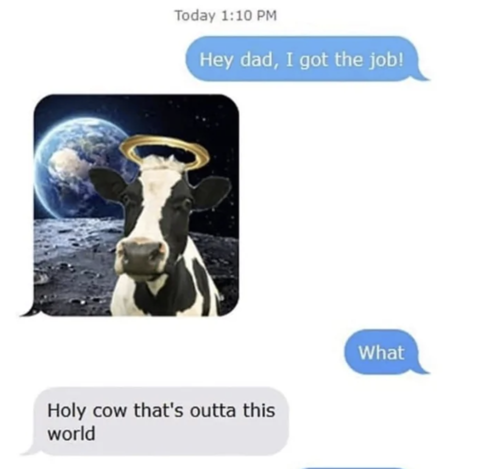 Dad posting a cow in space, "Holy cow that's outta this world," to news kid got the job