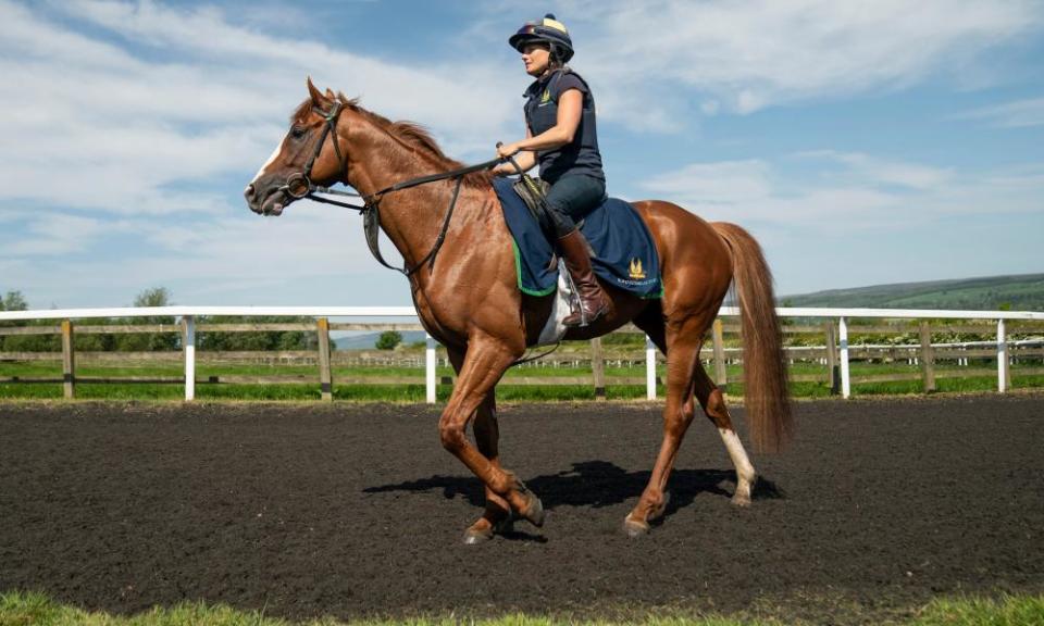 Dubai Mile ridden by Emma Bedford near Charlie Johnston’s yard in Middleham.