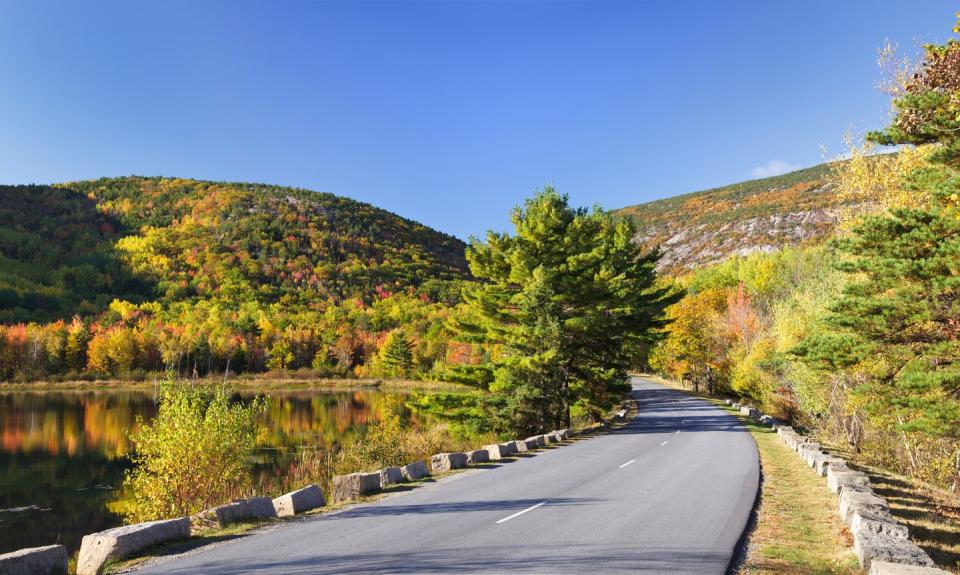 best scenic drives park loop drive maine