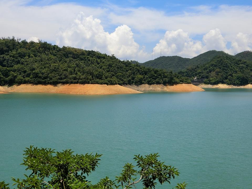 城門水塘集水區。(綠色力量供相)