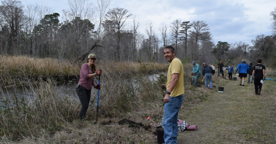 Volunteers with the Cape Fear River Watch plant trees along Burnt Mill Creek to protect water quality.