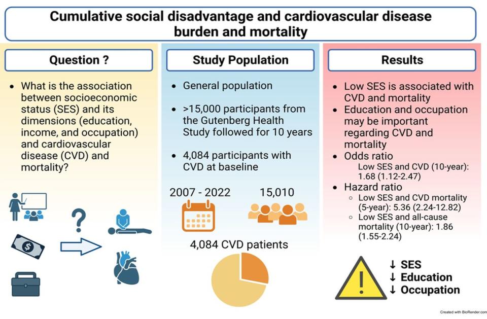 Infografía con las claves generales del estudio | Omar Hahad, Donya A Gilan, et al. European Journal of Preventive Cardiology, (2023)