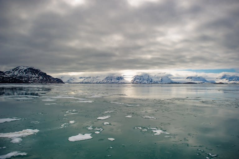 View of the Norvegian fjord Kongsfjord off the coast of Ny-Alesund on June 5, 2010. Countries around the world need to act with a sense of urgency if the 2015 UN climate change talks on cutting emissions are to have a credible outcome, a top EU official has warned