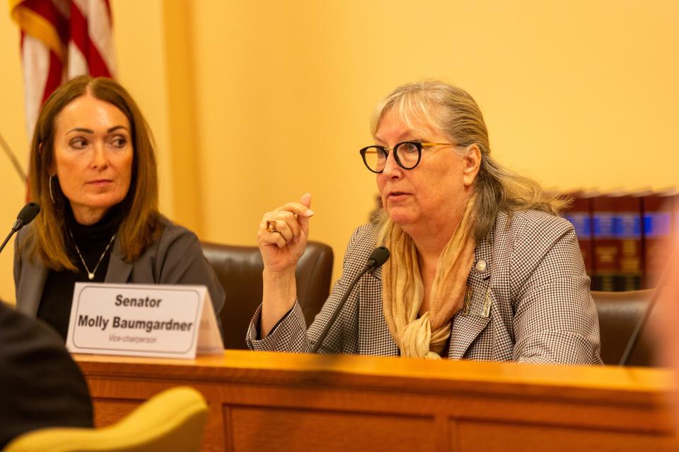 Sen. Molly Baumgardner, R-Louisburg, was one of several Kansas lawmakers who took issue with what they called lax oversight and management of strictly regulated funding for at-risk students at a Tuesday morning hearing of the Special Committee on Education.