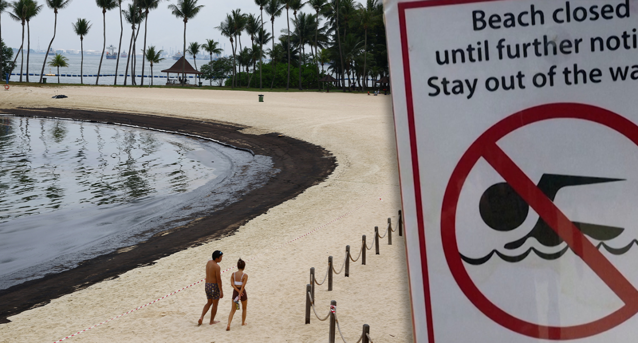 Background - an oiled beach in Singapore. Inset - a sign saying the beach is closed.