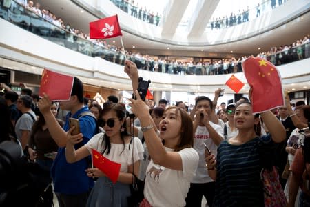 Pro-government demonstrators hold up Hong Kong and Chinese flags during a flash mob style rally at a mall in Hong Kong