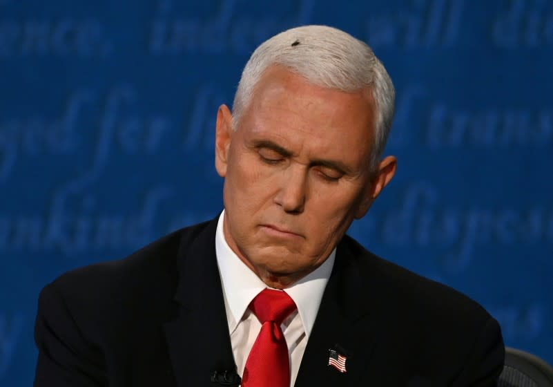 A fly rests on the head of Vice President Mike Pence during the vice presidential debate against Kamala Harris.