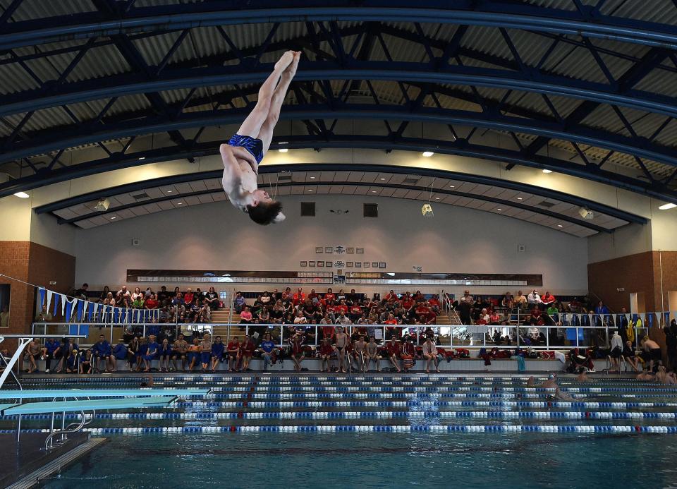 Justin Ott of Dundee wins the diving at the Monroe County Championships on February 6, 2016.