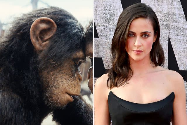 <p>courtesy 20th Century Studios; Axelle/Bauer-Griffin/FilmMagic</p> (Left-right:) Lydia Peckham in 'Kingdom of the Planet of the Apes'; on May 2