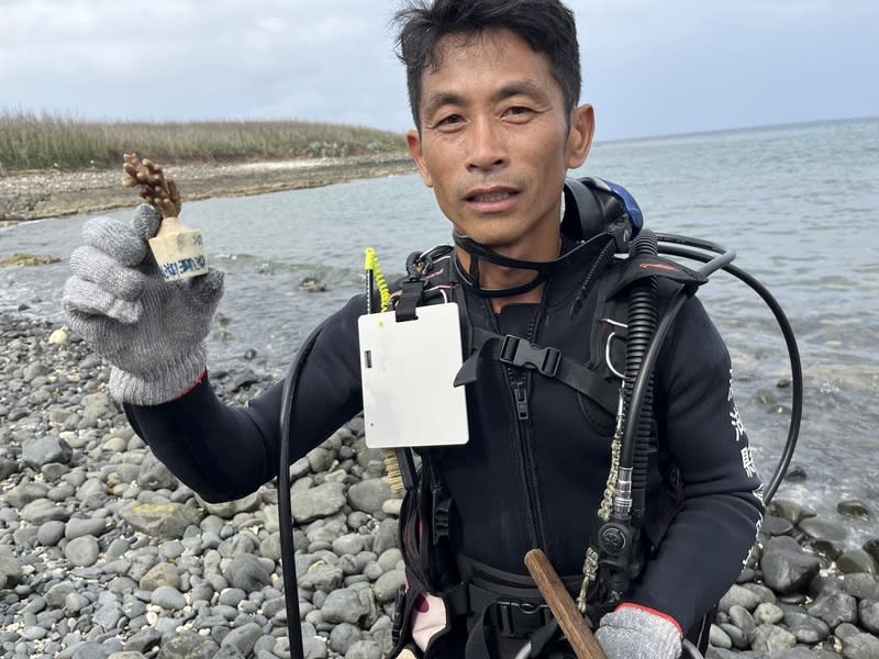 澎湖栽植珊瑚復育 潛水員下海執行 澎湖縣政府將透過與民間合作栽植珊瑚8000株、3年 海岸植樹1萬株復育棲地，由水產種苗繁殖場製作有 圓形凹槽珊瑚磚投放到海底，潛水員再下海堆疊，並 把珊瑚苗卡入凹槽栽植。圖為潛水員下水前展示珊瑚 苗。 中央社記者楊淑閔攝  113年4月20日 