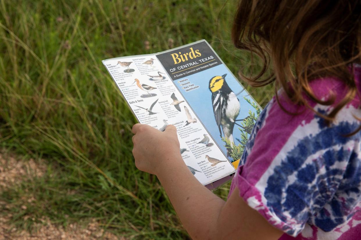 Julia Kauffroth examines a bird guidebook during summer family camp at the Lady Bird Johnson Wildflower Center in 2021. Texas Parks and Wildlife Department has designated Austin a Bird City Texas site.