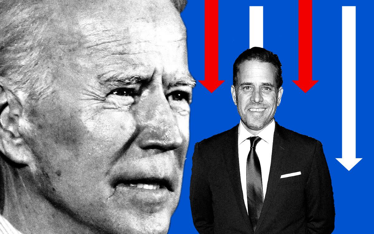 Joe Biden’s family tree: how tragedy shaped the US presidential candidate