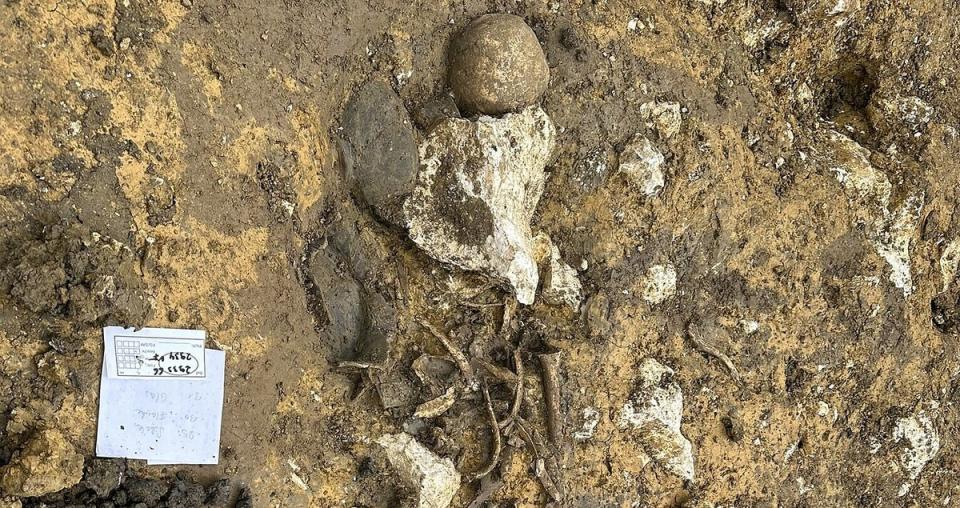 Grave unearthed at Gerstetten village in Germany (Gizem Dakmaz)