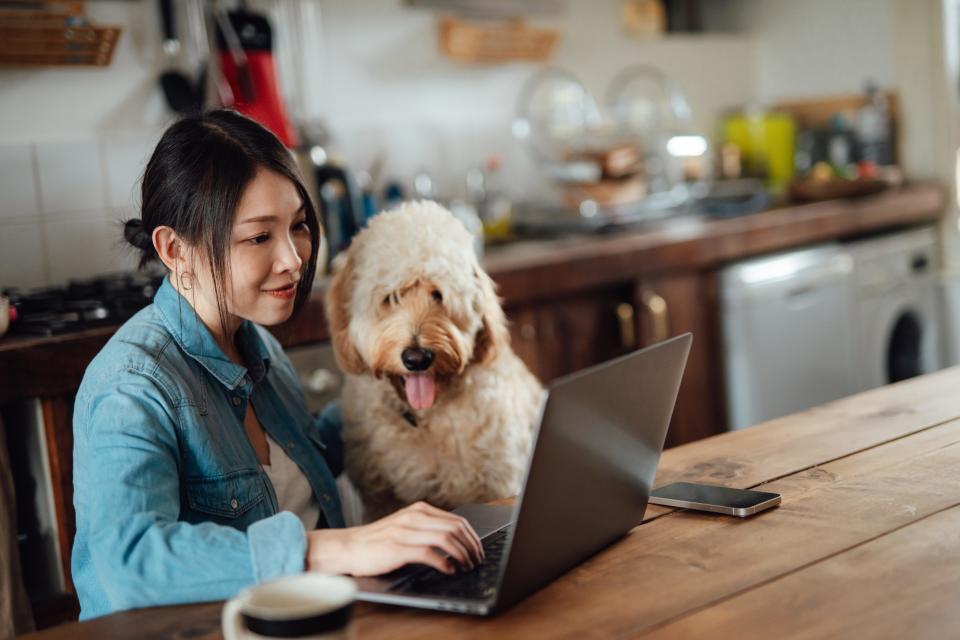 woman working from home with dog