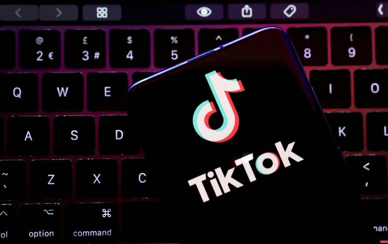 FILE PHOTO: Illustration shows TikTok app logo