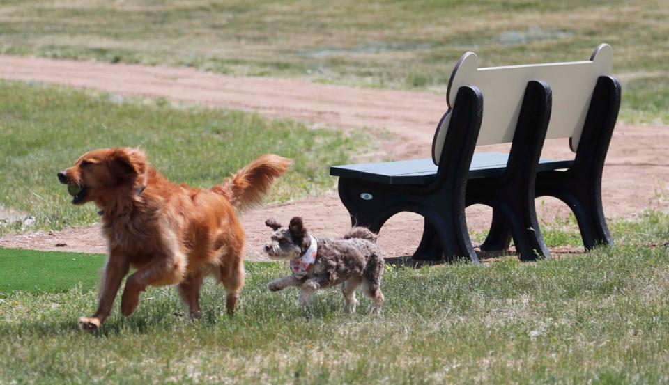Dog run around the newly opened Muth Family Dog Park, Saturday, June 24, 2023, in Sheboygan, Wisconsin. The American Veterinary Medical Association recommends pet owners keep their dogs out of commonly shared areas including dog parks and grooming facilities as a mystery canine respiratory illness plagues the nation.