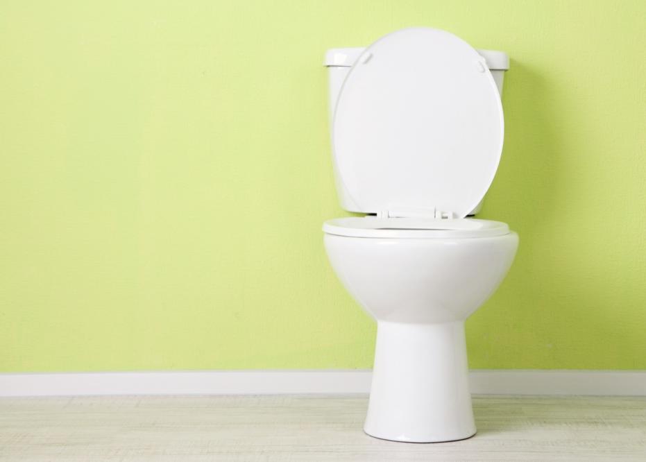 How a Snake Can Get Into Your Home Through Your Toilet — Best Life