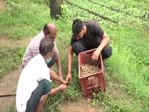 People at thenursery preparing seed balls (Photo/ANI)