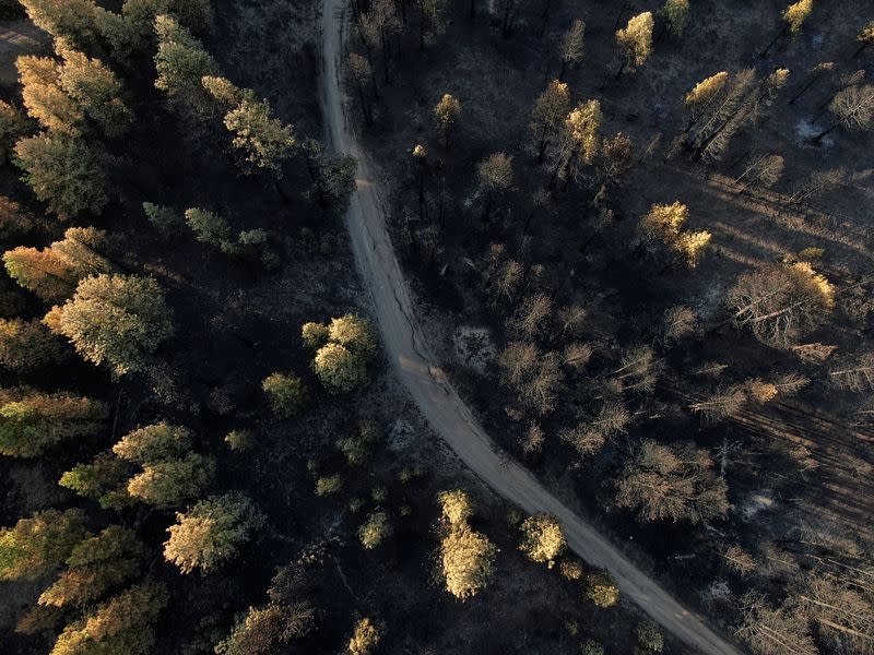 Fire damage from the Red Apple Fire near Wenatchee