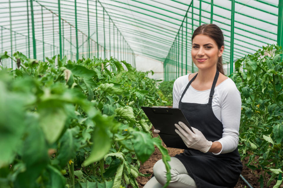 organic, plant, food