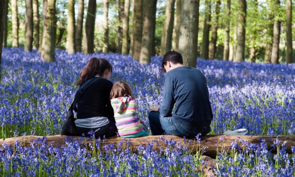 <span>Photograph: Robert Stainforth/Alamy</span>