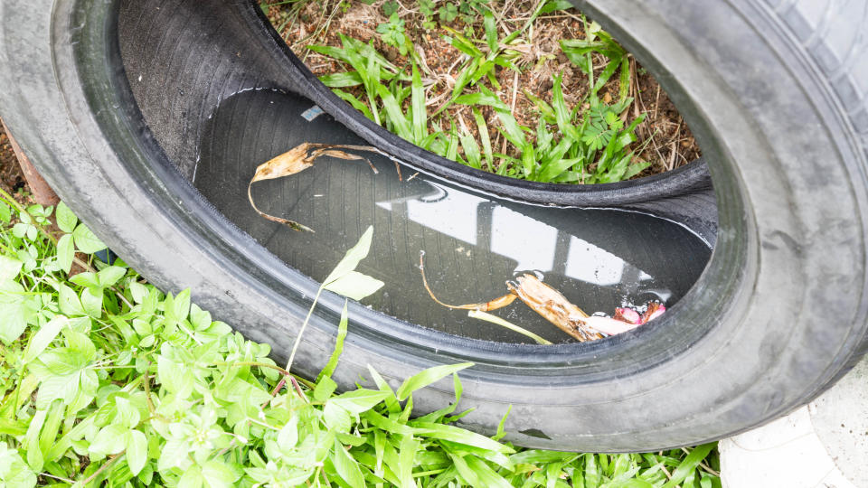 An empty tire in a yard filled with water