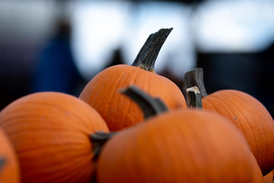 Pumpkins sit for sale at the Rockin' K Farms in Robstown on Saturday, Oct. 15, 2022.