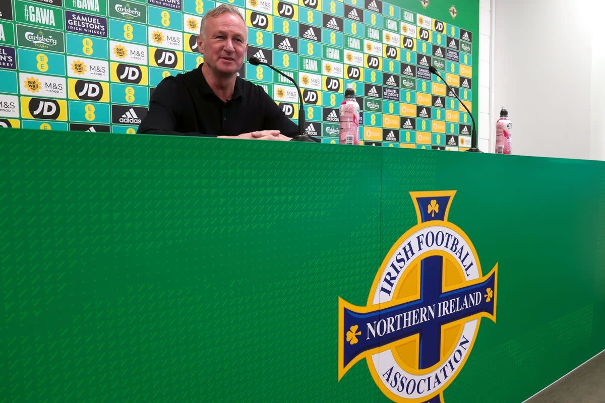 Michael O’Neill is back in the hotseat at Windsor Park (Brian Lawless/PA) (PA Wire)