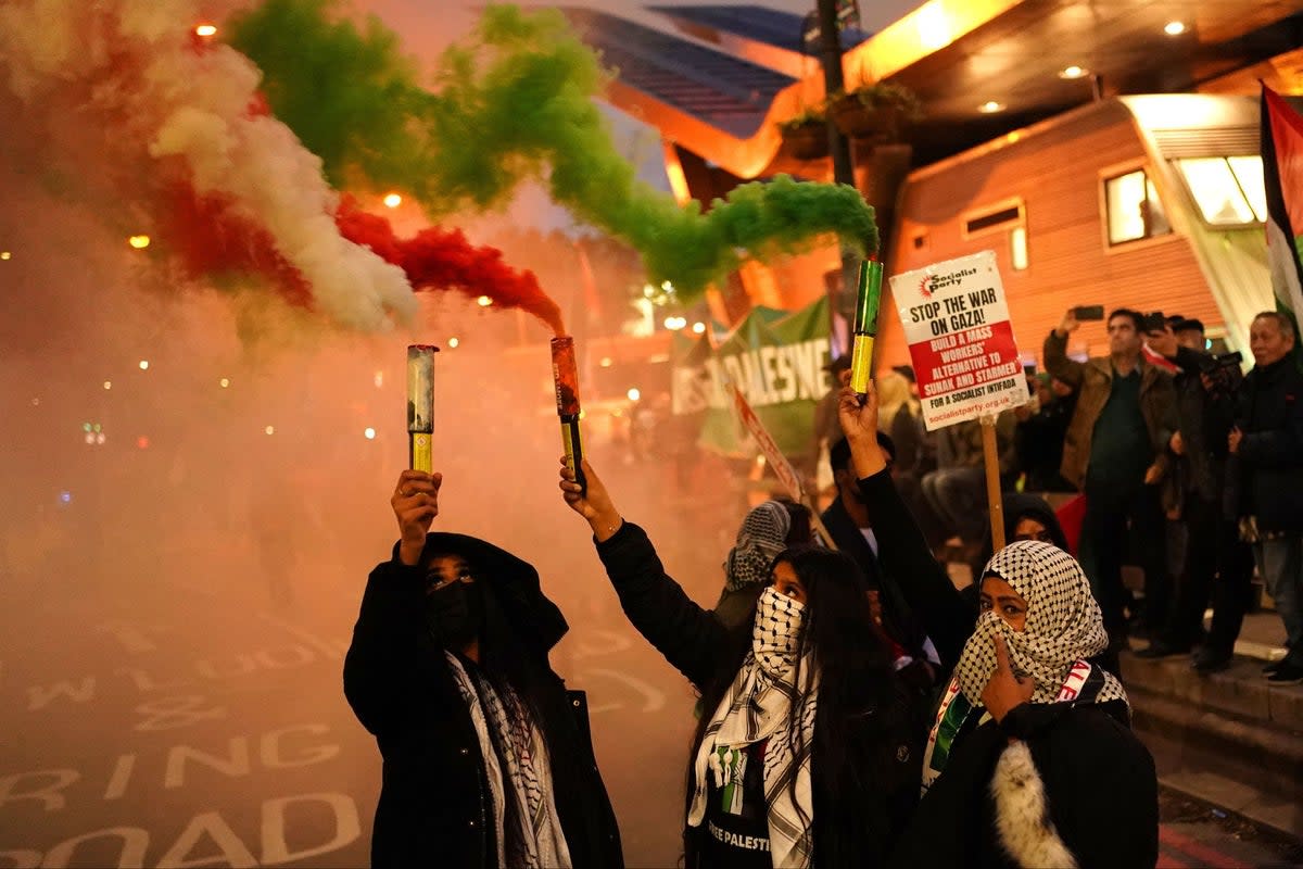 A pro-Palestinian protest in London on November 11 (PA)