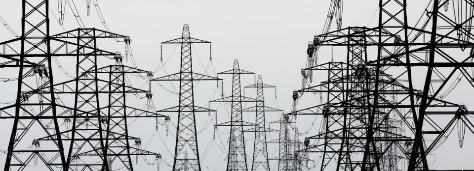 General view of electricity pylons near Lydd, Kent (Gareth Fuller/PA) (PA Archive)