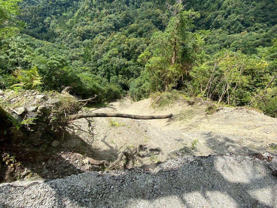 福山植物園聯外道路4.8K下邊坡崩塌深度達100公尺。   圖：農委會林業試驗所／提供