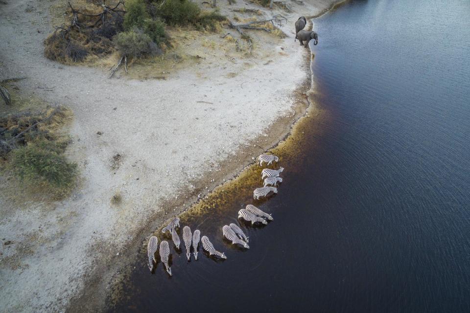 Shot on assignment for National Geographic Magazine, story MM8414 Okavango source story profiling the source of the Okavango's water in the Angolan highlands.  The team, lead by Steven Boyes PhD traveled over 1,000 miles by Mekoro doing a mega transect of the Okavango's source and it's ultimate outlet in the delta.