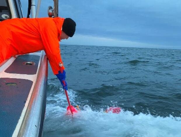 Leaning over to snag a buoy to bring up a line of lobster traps.