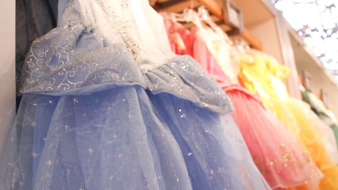 Disney Princess Dress