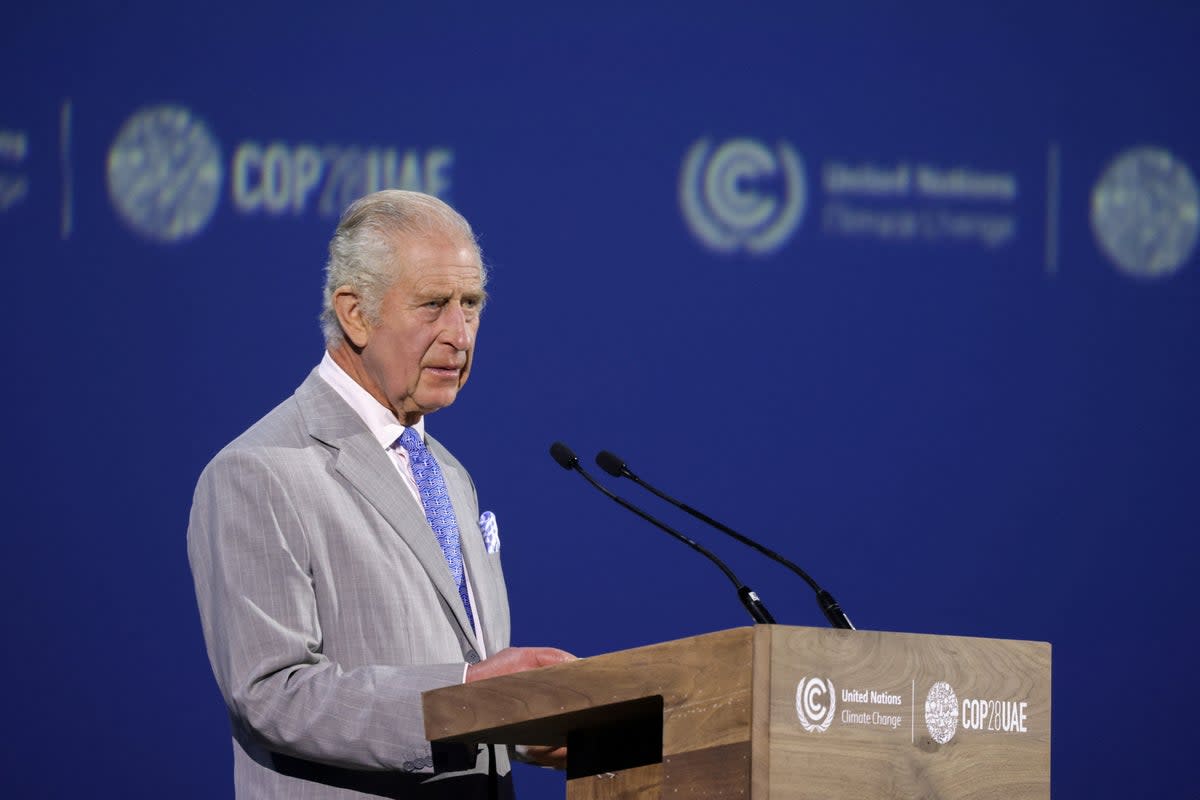 Britain's King Charles speaks at the World Climate Action Summit during the United Nations Climate Change Conference (COP28) in Dubai, United Arab Emirates, on 1 December (via REUTERS)