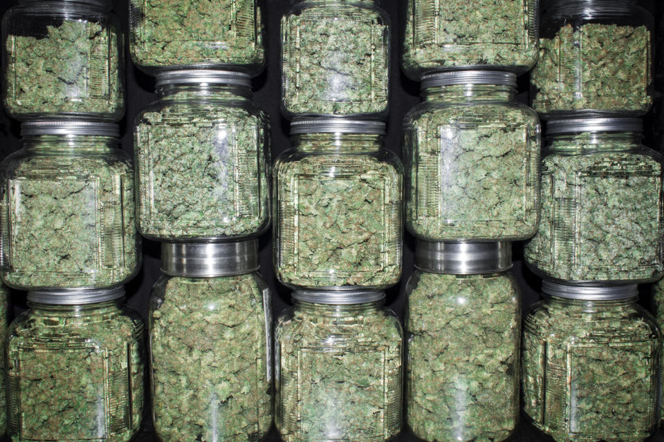 Clear jars packed with cannabis buds that are stacked on top of each other.