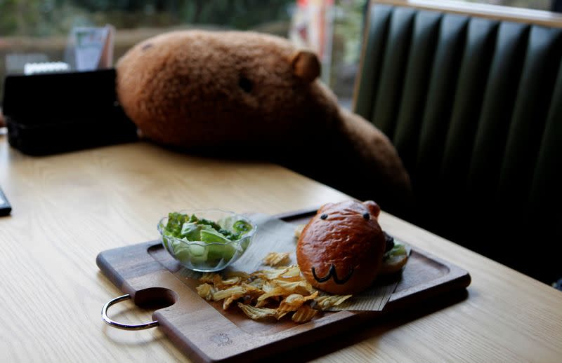 A capybara-themed burger is pictured at a restaurant of Izu Shaboten Zoo in Ito