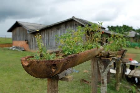 A bomb dropped by the U.S. Air Force planes during the Vietnam War is used to grow plants in the village of Ban Napia in Xieng Khouang province, Laos September 3, 2016. REUTERS/Jorge Silva