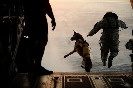 A U.S. Army soldier with the 10th Special Forces Group and his military working dog jump off the ramp of a CH-47 Chinook helicopter from the 160th Special Operations Aviation Regiment during water training over the Gulf of Mexico as part of exercise Emerald Warrior 2011, in this U.S. military file handout image from March 1, 2011. REUTERS/Manuel J. Martinez/U.S. Air Force/Handout via Reuters