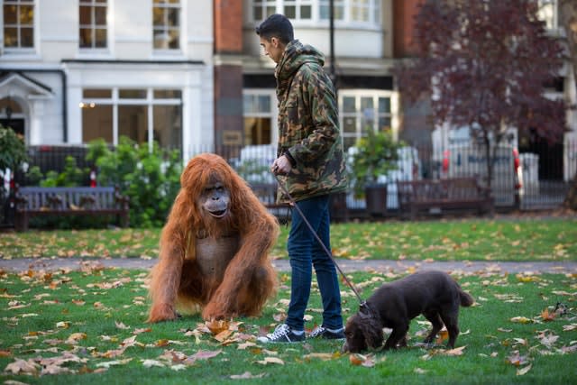 The animatronic orangutan is a 'potent symbol of the effects of deforestation', Iceland said (David Parry/PA)