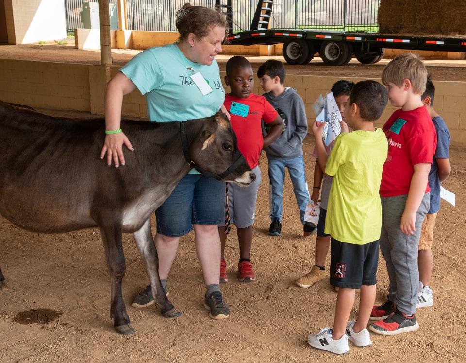 Jamie Long, left, and her one year old steer, talks with Knox County students at the 2023 Knox County Farm Bureau Farm Day on Tuesday May 16, 2023.