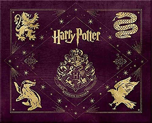 47) Hogwarts Deluxe Stationery Set